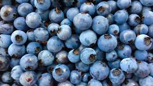 Frozen Wild Blueberries, Product of Canada, 1Kg.jpeg